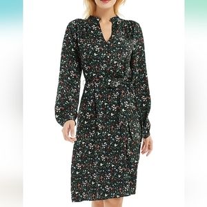 Adorable Fall and Holiday dress. Christmas Party